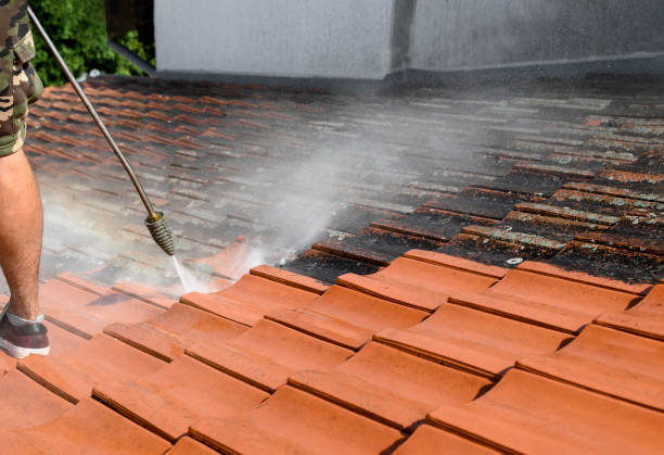 Best Local Pressure Washing Services  in Dodgeville, WI